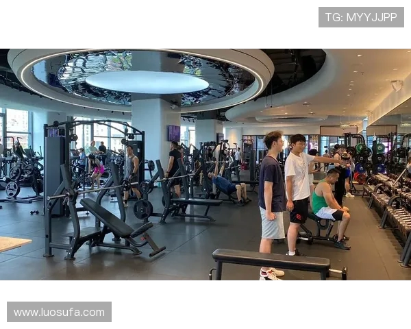 打造全方位运动生活方式：从健身到休闲，如何在日常中保持身体活力